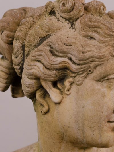 Bust of Venus