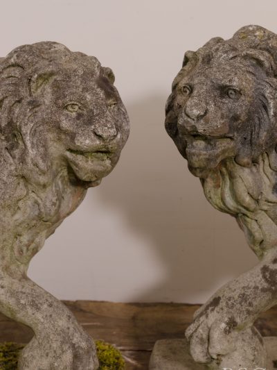 A Pair of Lions
