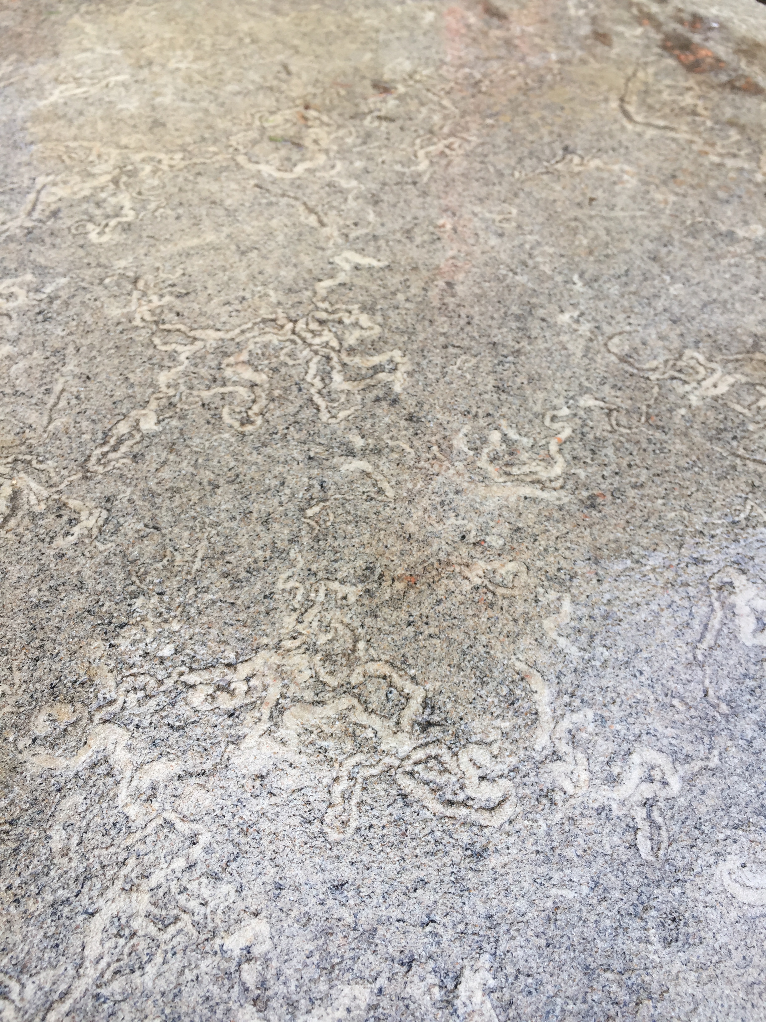 Reclaimed Flagstone Flooring (Sold) - Image 2
