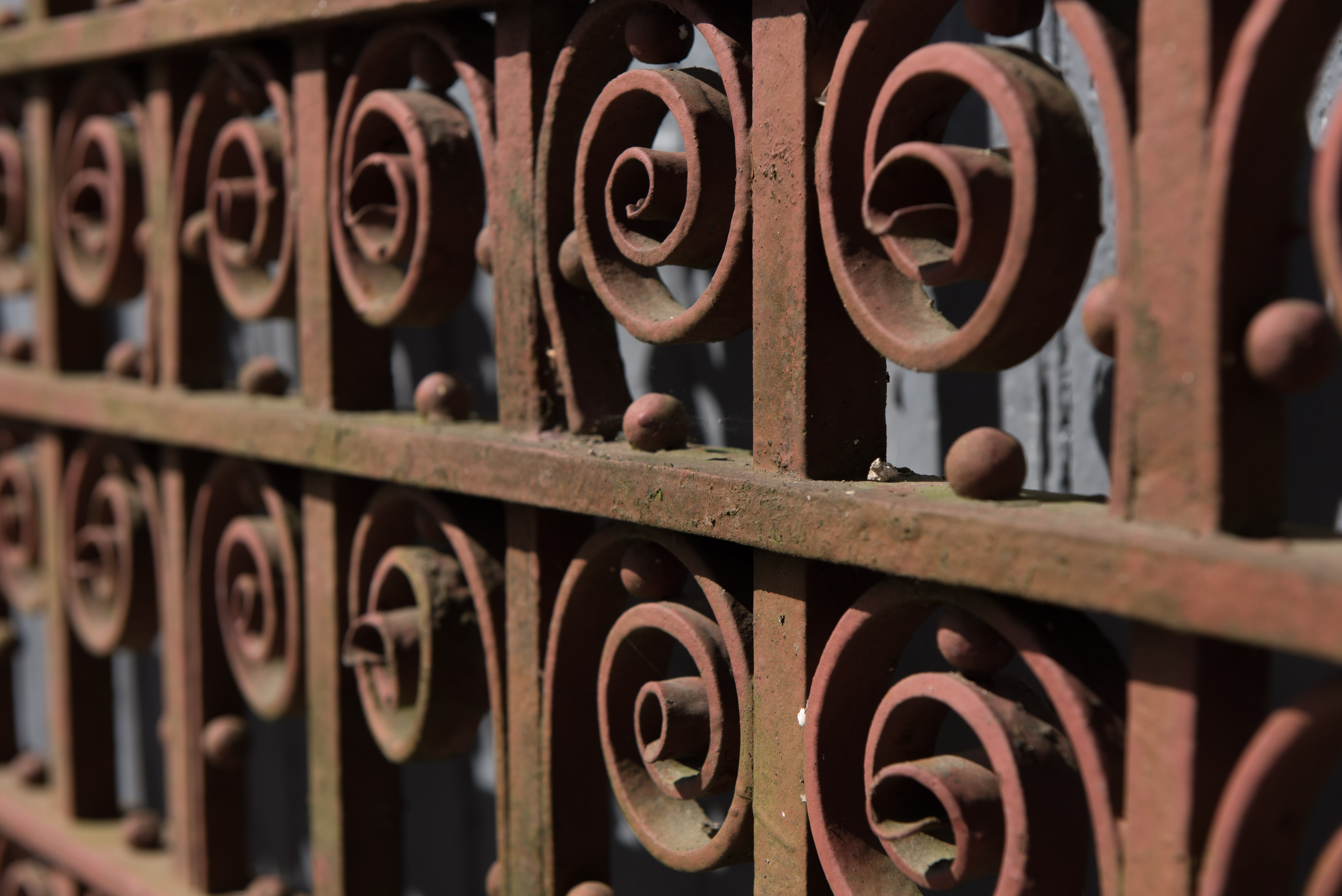 Wrought Iron Garden Gate
