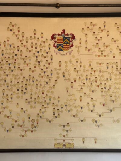 Drummond family pedigree